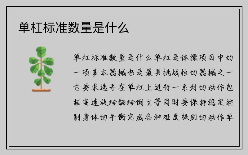 单杠标准数量是什么